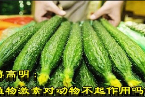 蒋高明：植物激素对动物不起作用吗？